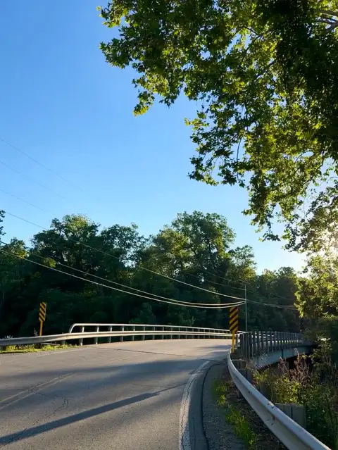 Sun-drenched road winding into a bright, natural escape.